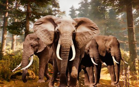 動物狙擊手狩4