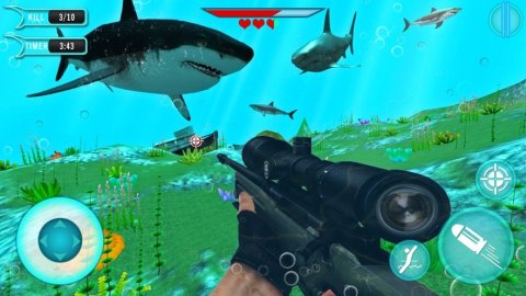 鯊魚獵手3D3