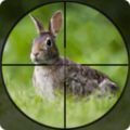 兔子狩獵模擬