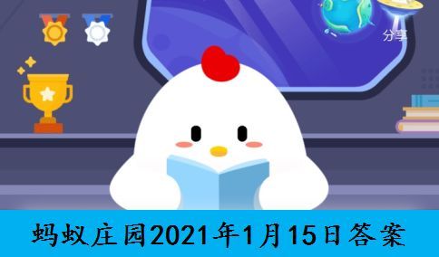 不撞南墙不回头的南墙是什么意思蚂蚁庄园[多图]图片1