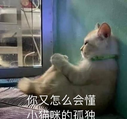 看完年度账单后的我图片 看完年度账单后的你图片[多图]图片4