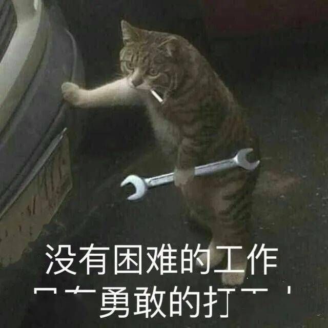 晚安打工人是什么梗？晚安打工人表情包图片分享[多图]图片2