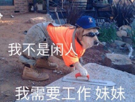 打工人语录大全：早安打工人表情包图片合集[多图]图片5