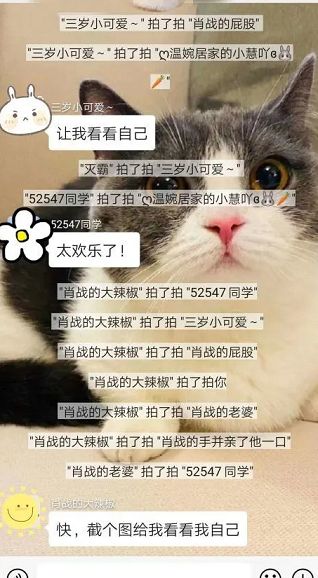 微信拍了拍有什么用？拍一拍能一直火下去吗？[多图]图片3