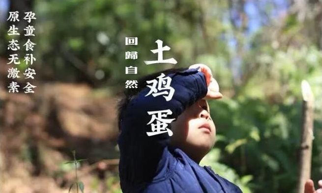 天水庄园免费领鸡蛋是真的吗？免费领鸡蛋活动规则[多图]图片1