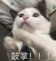 多多自走棋新版本策划无死角为你解答![视频][多图]图片1