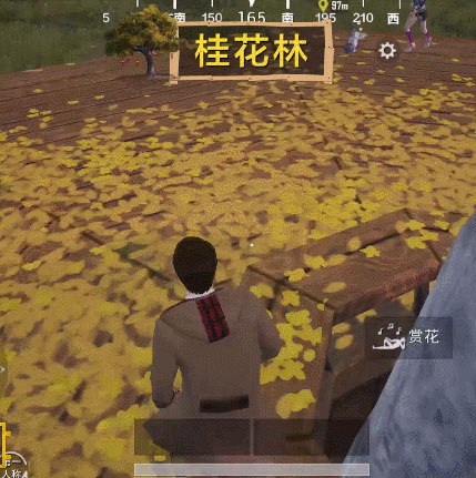 和平精英中秋模式9月9日上线！桂花树下赏月、放河灯祈福[视频][多图]图片5