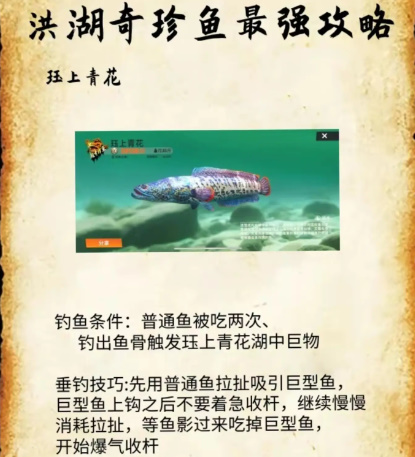 欢乐钓鱼大师洪湖最后两条鱼在哪 洪湖最后两条鱼位置和垂钓技巧分享[多图]图片3